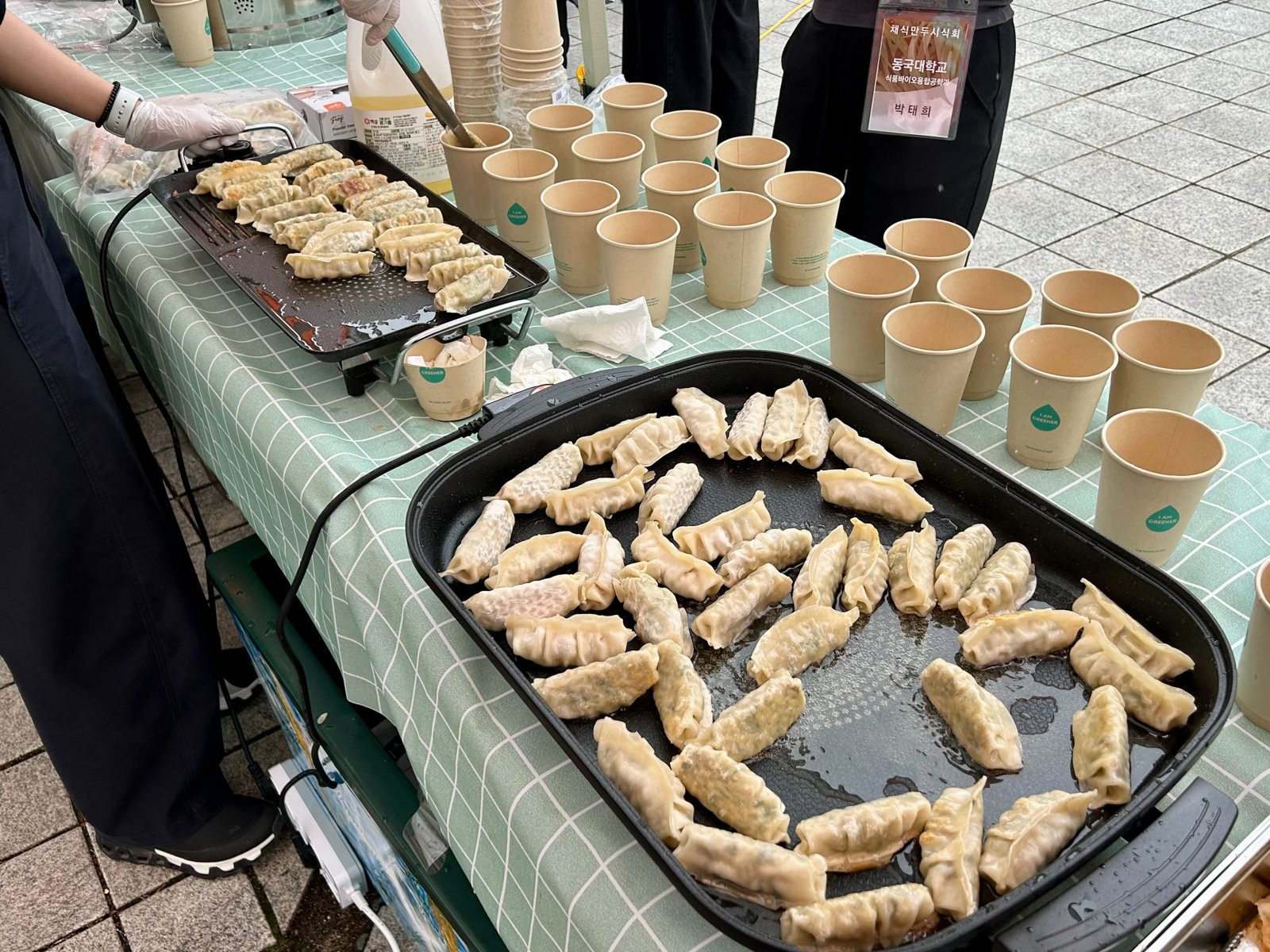 세포배양식품 만두 시식회