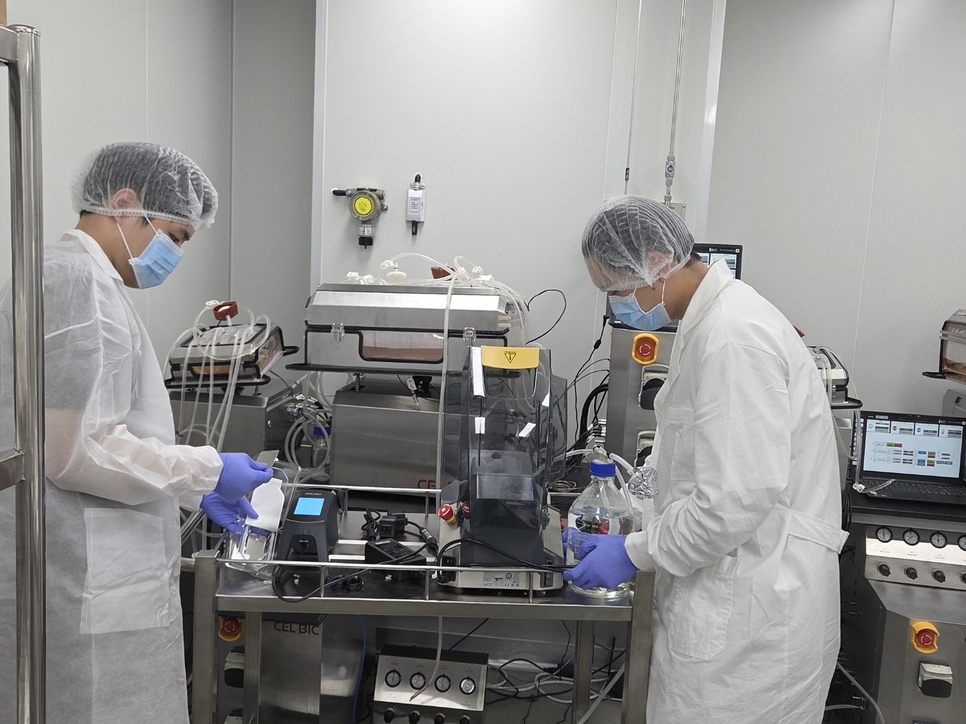 배양백 작업